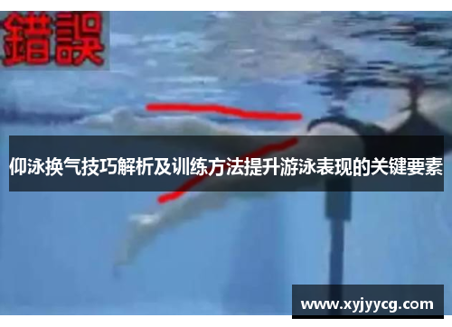 仰泳换气技巧解析及训练方法提升游泳表现的关键要素