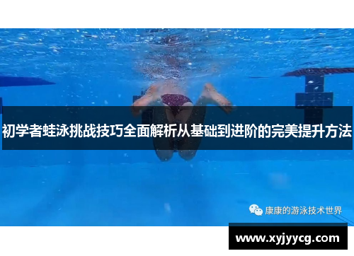 初学者蛙泳挑战技巧全面解析从基础到进阶的完美提升方法