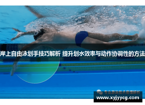 岸上自由泳划手技巧解析 提升划水效率与动作协调性的方法