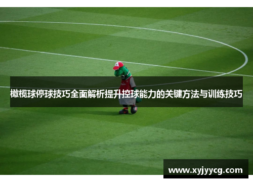橄榄球停球技巧全面解析提升控球能力的关键方法与训练技巧