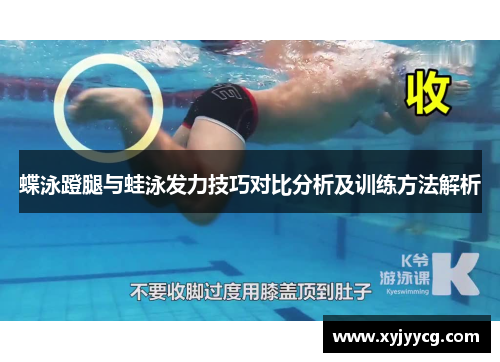 蝶泳蹬腿与蛙泳发力技巧对比分析及训练方法解析