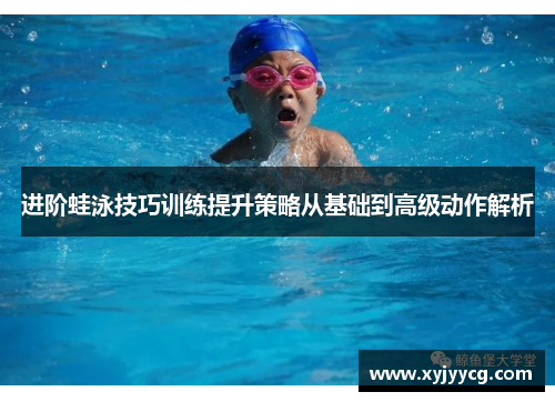 进阶蛙泳技巧训练提升策略从基础到高级动作解析